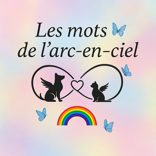 Les Mots de l'Arc-en-ciel