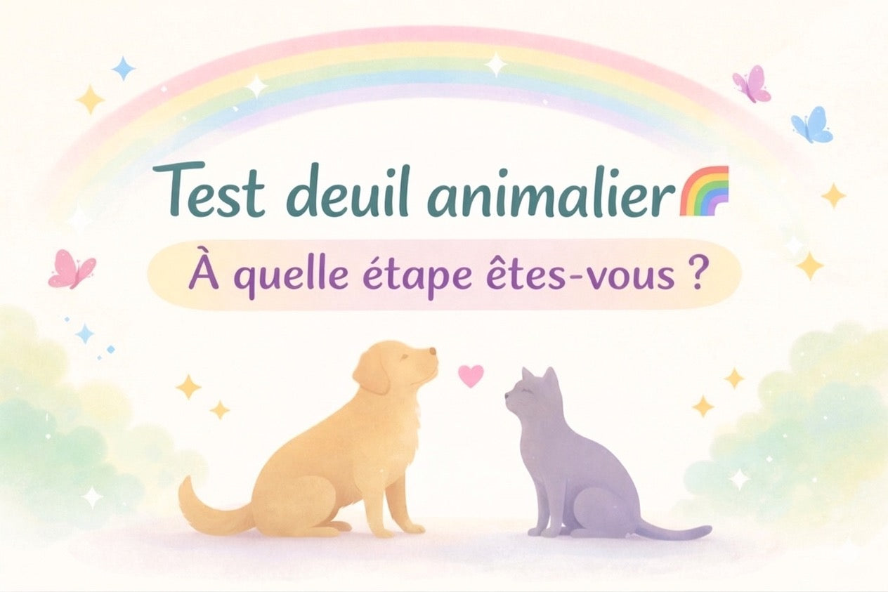 À quelle étape du deuil animalier êtes-vous ? Faites le test pour le découvrir 🌈
