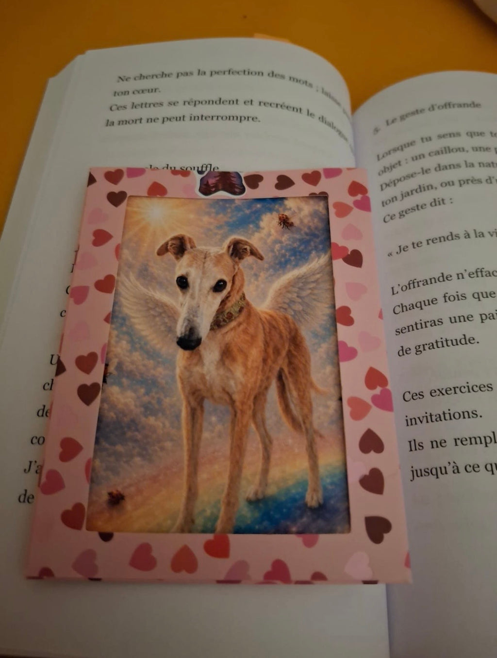 Una nuova visione del lutto animale: dal dolore alla pace. Quando l'amore continua oltre il visibile