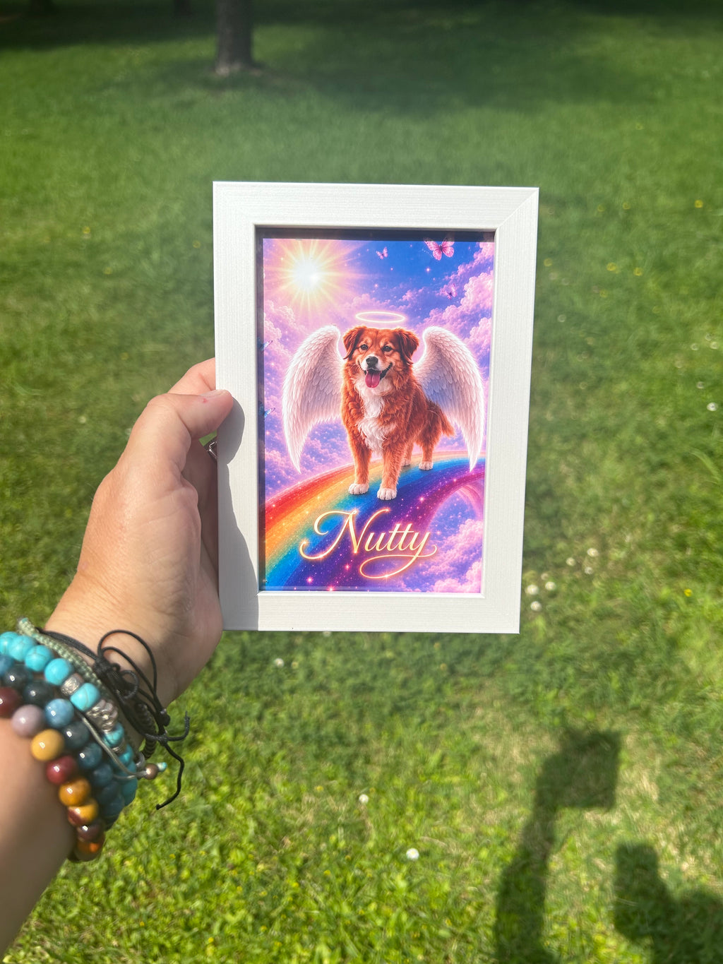 Una nuova visione del lutto animale: dal dolore alla pace. Quando l'amore continua oltre il visibile