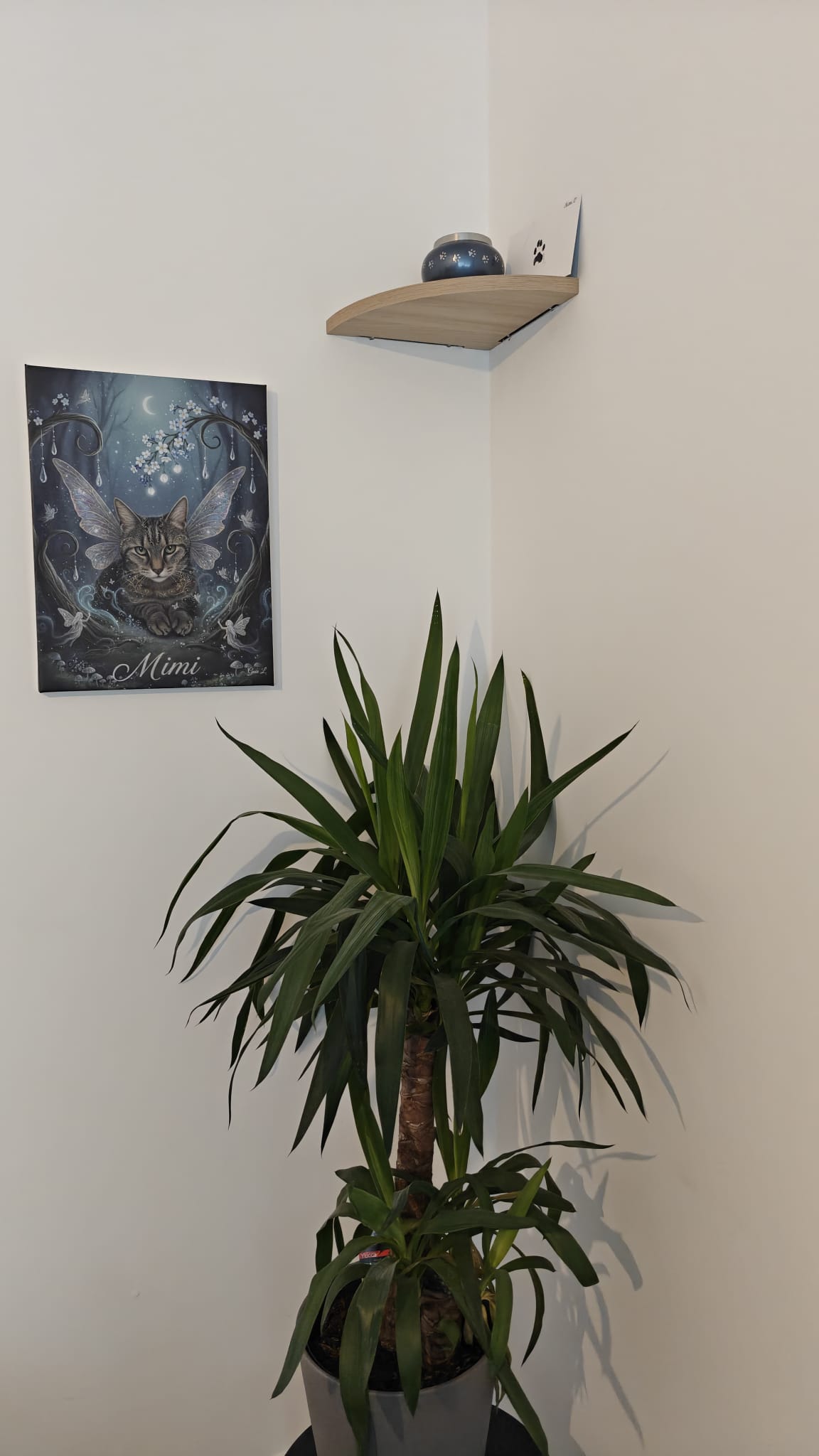 Toile souvenir personnalisée – Portrait animal – Les Mots de l’Arc-en-Ciel