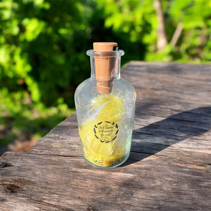 Lanterne lumineuse commémorative – Deuil animalier | Souvenir lumineux pour chien ou chat