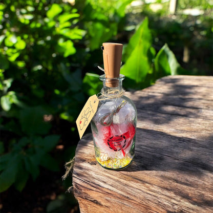 Bouteille lumineuse souvenir posée sur une table en bois au soleil, remplie de petites lumières et décorée d’un message symbolique — création destinée à honorer la mémoire d’un animal.