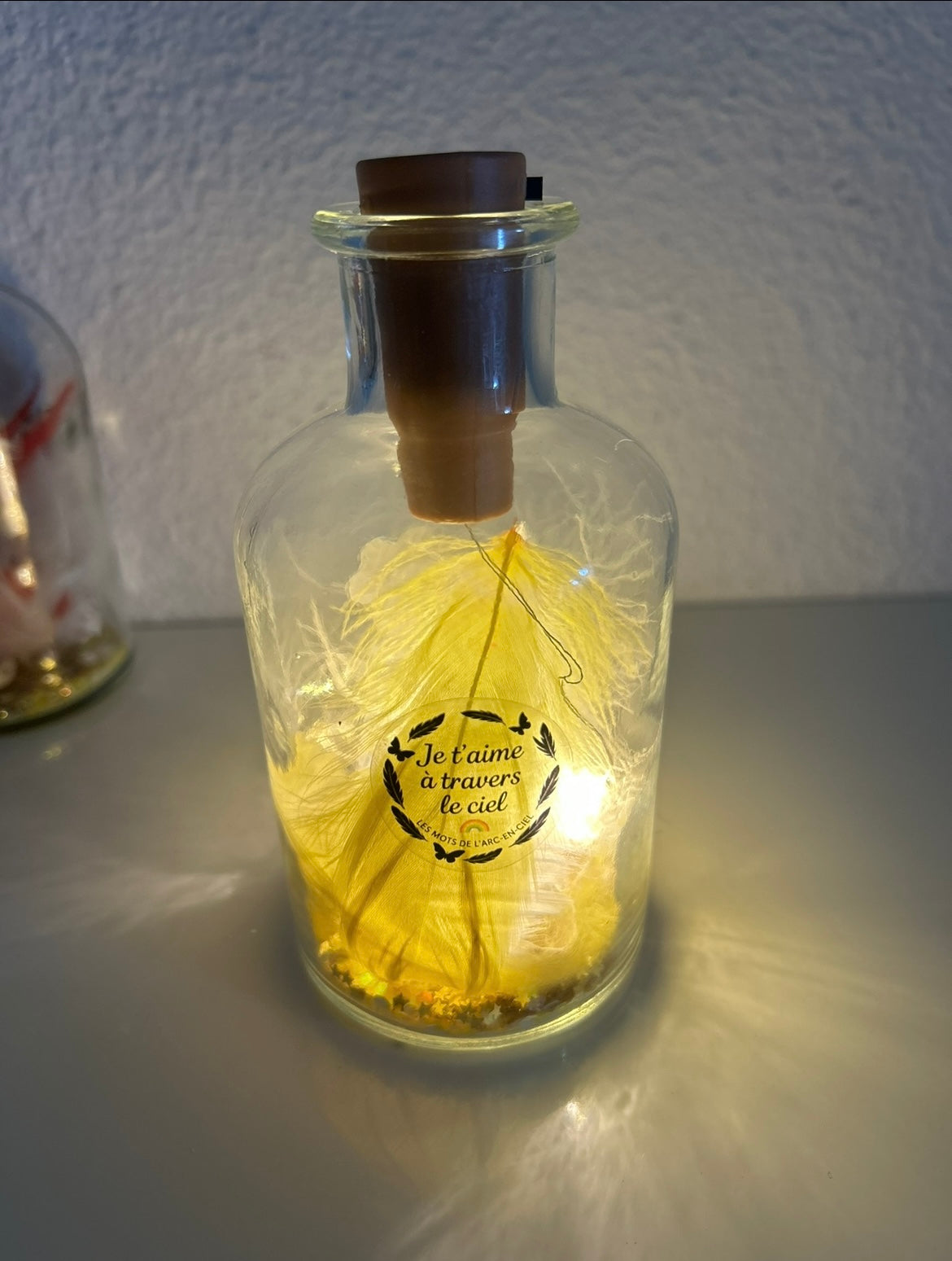 Lanterne lumineuse commémorative – Deuil animalier | Souvenir lumineux pour chien ou chat