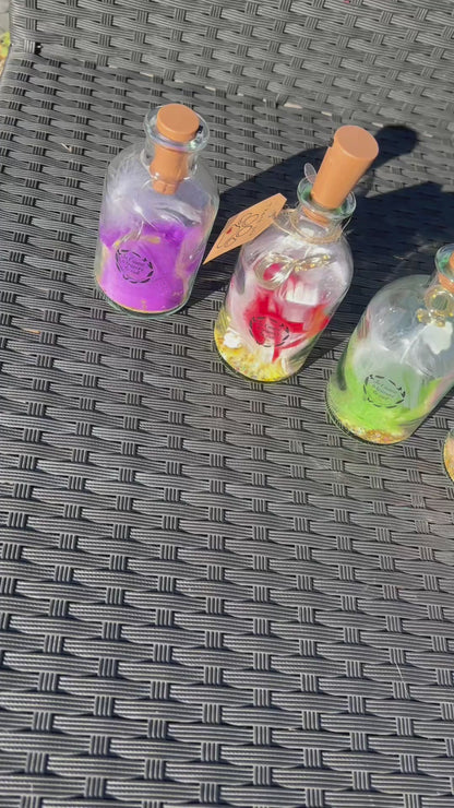 Lanternes Lumineuse deuil animalier