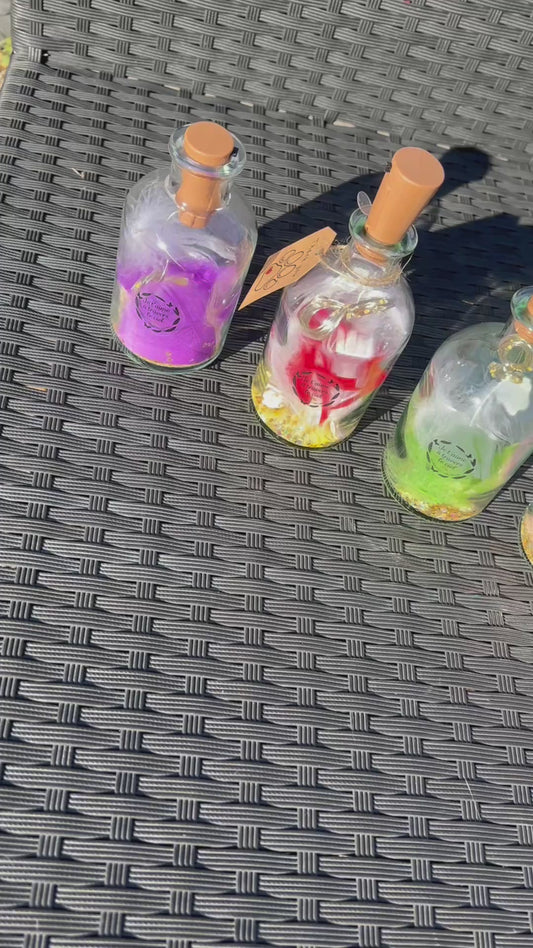 Lanternes Lumineuse deuil animalier